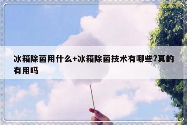 冰箱除菌用什么+冰箱除菌技术有哪些?真的有用吗