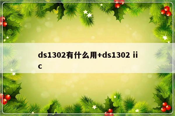 ds1302有什么用+ds1302 iic