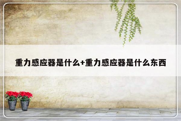 重力感应器是什么+重力感应器是什么东西