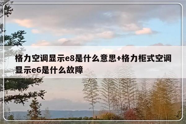 格力空调显示e8是什么意思+格力柜式空调显示e6是什么故障