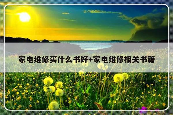 家电维修买什么书好+家电维修相关书籍