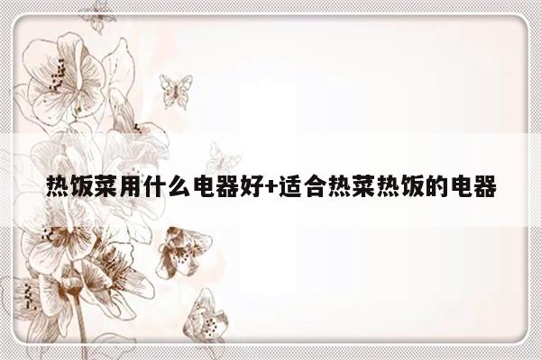 热饭菜用什么电器好+适合热菜热饭的电器