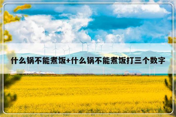 什么锅不能煮饭+什么锅不能煮饭打三个数字