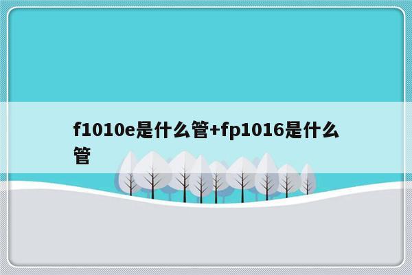 f1010e是什么管+fp1016是什么管