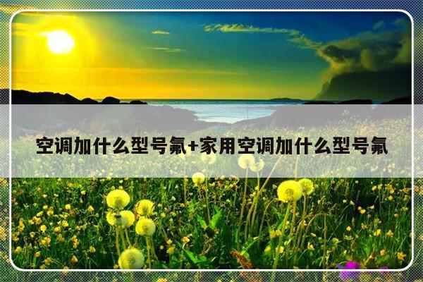空调加什么型号氟+家用空调加什么型号氟