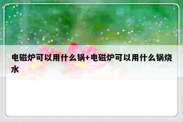 电磁炉可以用什么锅+电磁炉可以用什么锅烧水