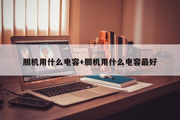 胆机用什么电容+胆机用什么电容最好