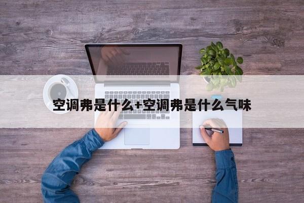 空调弗是什么+空调弗是什么气味