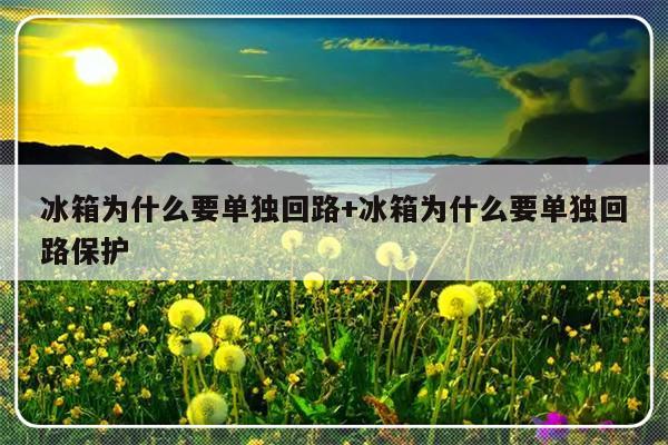冰箱为什么要单独回路+冰箱为什么要单独回路保护