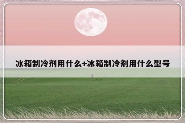 冰箱制冷剂用什么+冰箱制冷剂用什么型号