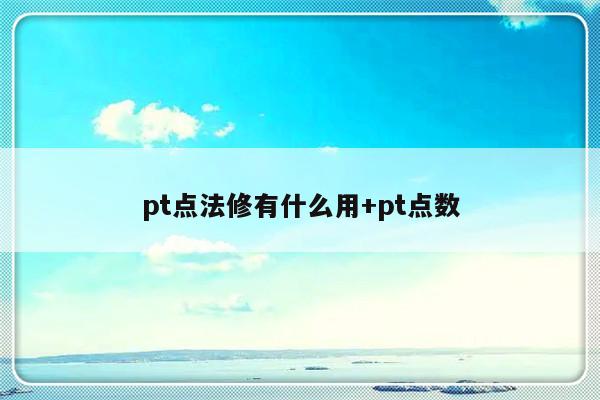 pt点法修有什么用+pt点数