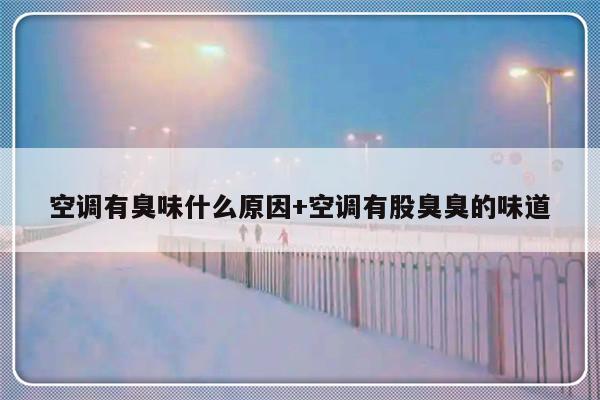 空调有臭味什么原因+空调有股臭臭的味道