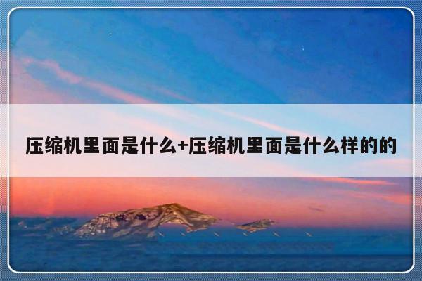 压缩机里面是什么+压缩机里面是什么样的的