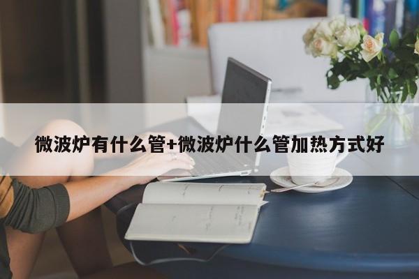 微波炉有什么管+微波炉什么管加热方式好