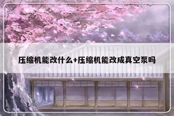 压缩机能改什么+压缩机能改成真空泵吗
