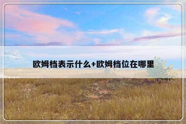 欧姆档表示什么+欧姆档位在哪里