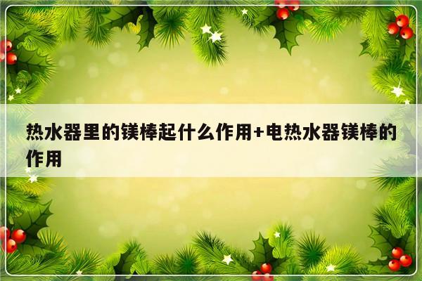 热水器里的镁棒起什么作用+电热水器镁棒的作用
