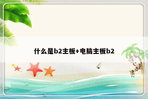 什么是b2主板+电脑主板b2