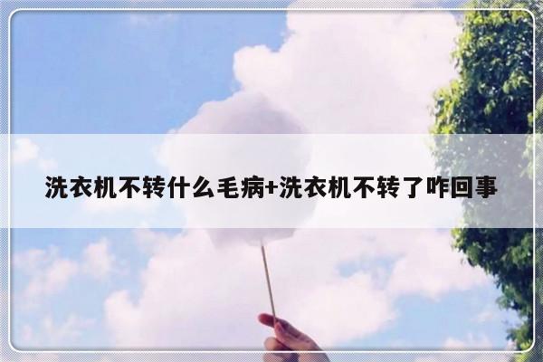 洗衣机不转什么毛病+洗衣机不转了咋回事