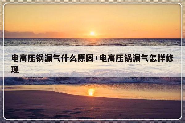 电高压锅漏气什么原因+电高压锅漏气怎样修理