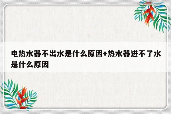 电热水器不出水是什么原因+热水器进不了水是什么原因