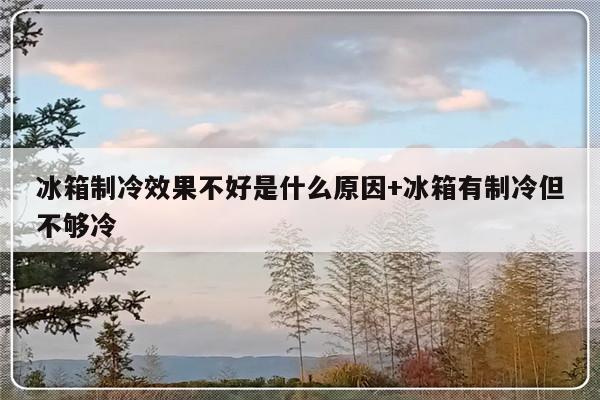 冰箱制冷效果不好是什么原因+冰箱有制冷但不够冷