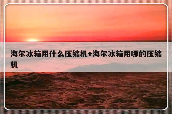 海尔冰箱用什么压缩机+海尔冰箱用哪的压缩机