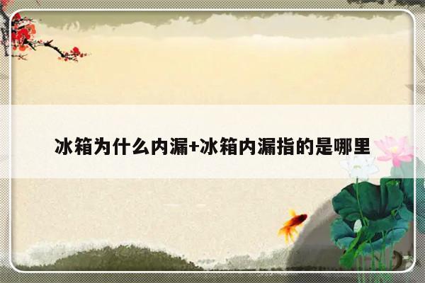 冰箱为什么内漏+冰箱内漏指的是哪里